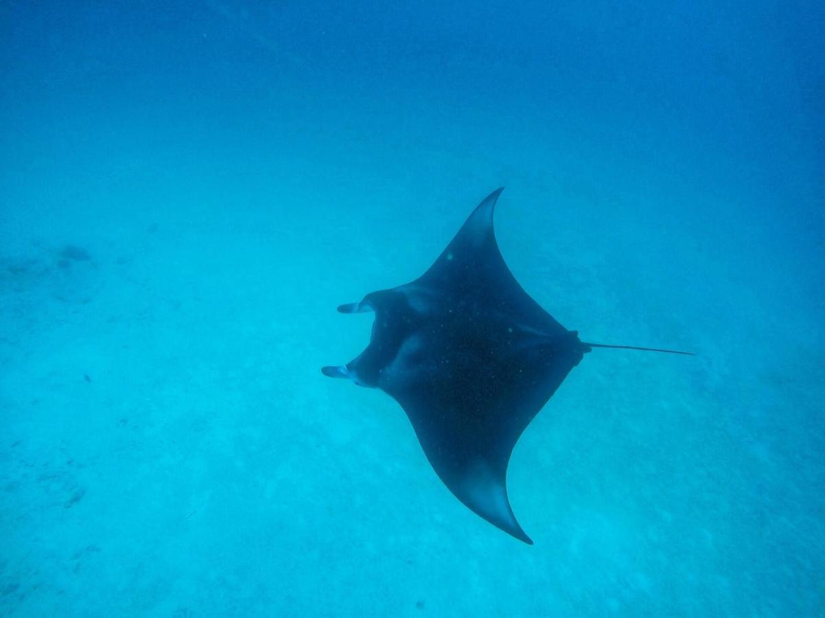 Pensjonat Hiraeth Island Guraidhoo (Kaafu Atoll)